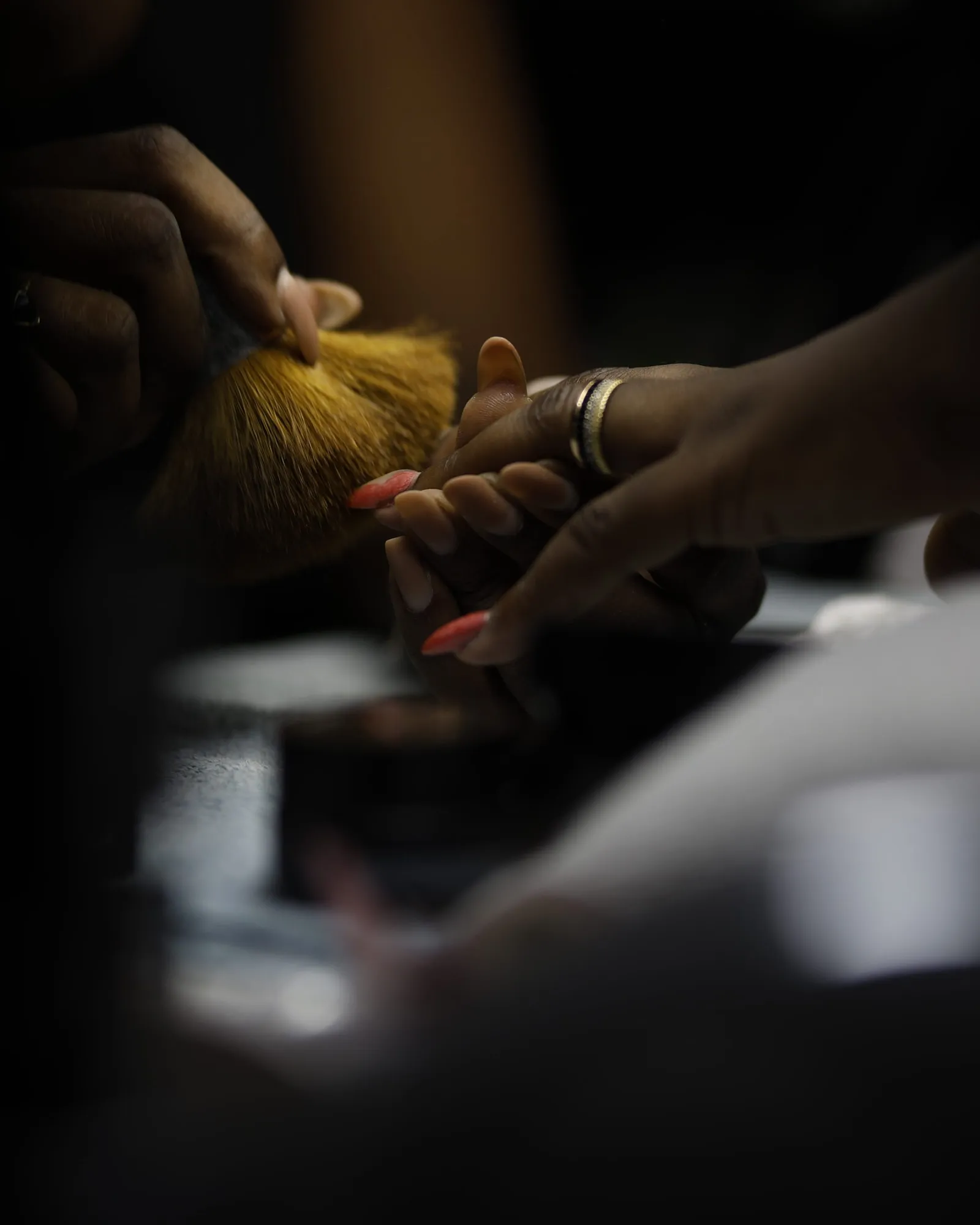 En atelier, la formatrice tient la main d'une cliente aux ongles corail et dépoussière la pose au pinceau